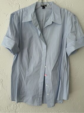 Ann Taylor Light Blue Pinstripe Short-Sleeve Button-Down Shirt